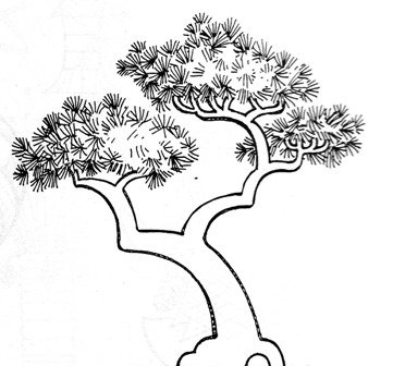 рисунки и схемы для вышивки