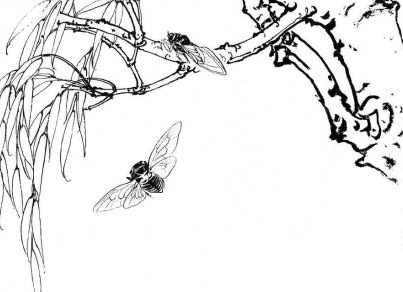 рисунки и схемы для вышивки