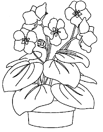 схемы вышивки