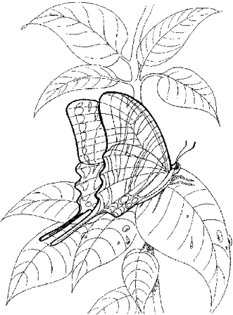 рисунки и схемы для вышивки