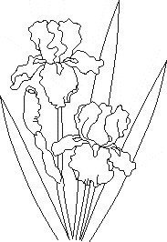 схемы вышивки