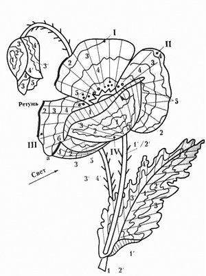 схемы для вышивки бесплатно