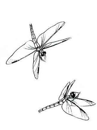 схемы для вышивки бесплатно