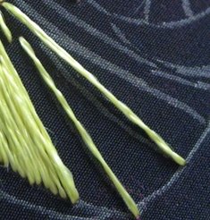 Уроки вишивки. Віялова гладь