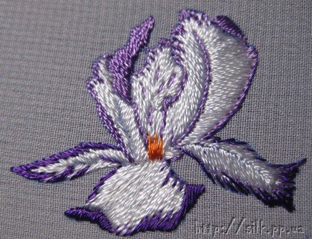 Майстер-клас вишивки. Вишиваємо ірис